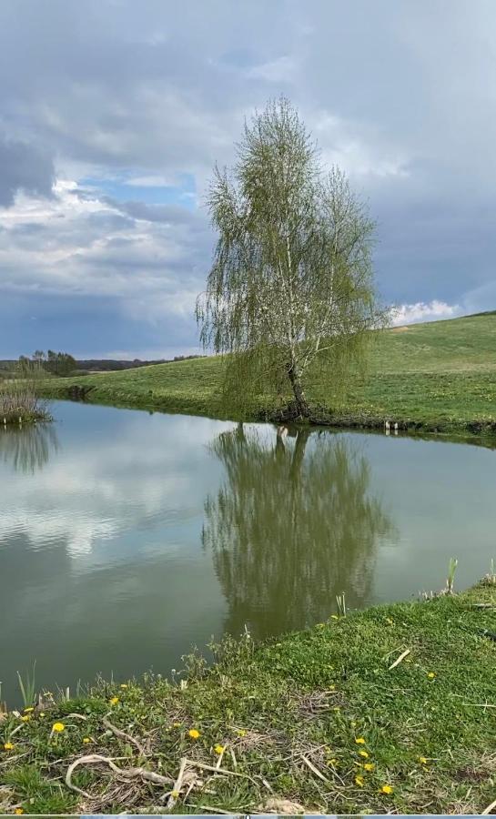 Agroturystyka Nad Jeziorem Silickim Ilinscy Silice Eksteriør bilde