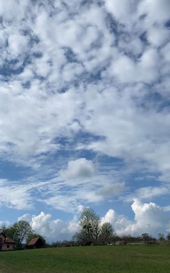 Agroturystyka Nad Jeziorem Silickim Ilinscy Silice Eksteriør bilde